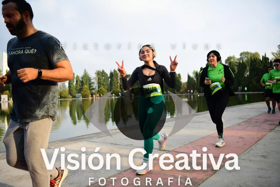Foto del evento Shrek - CDMX 2026