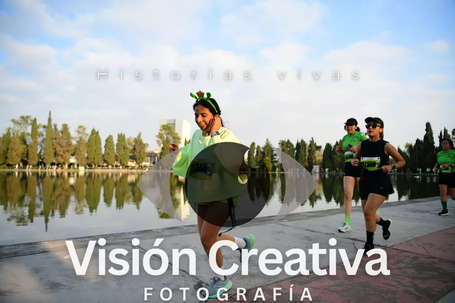 Foto del evento Shrek - CDMX 2026