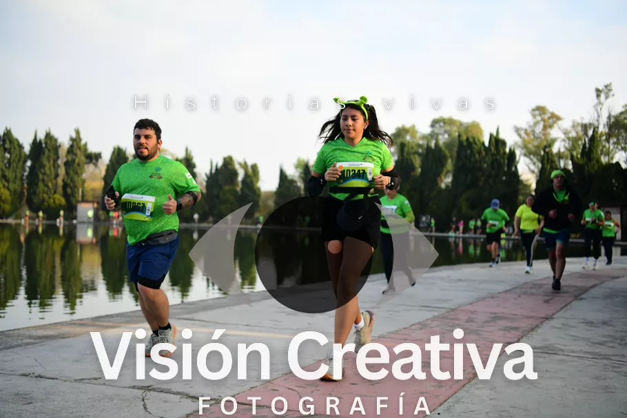 Foto del evento Shrek - CDMX 2026