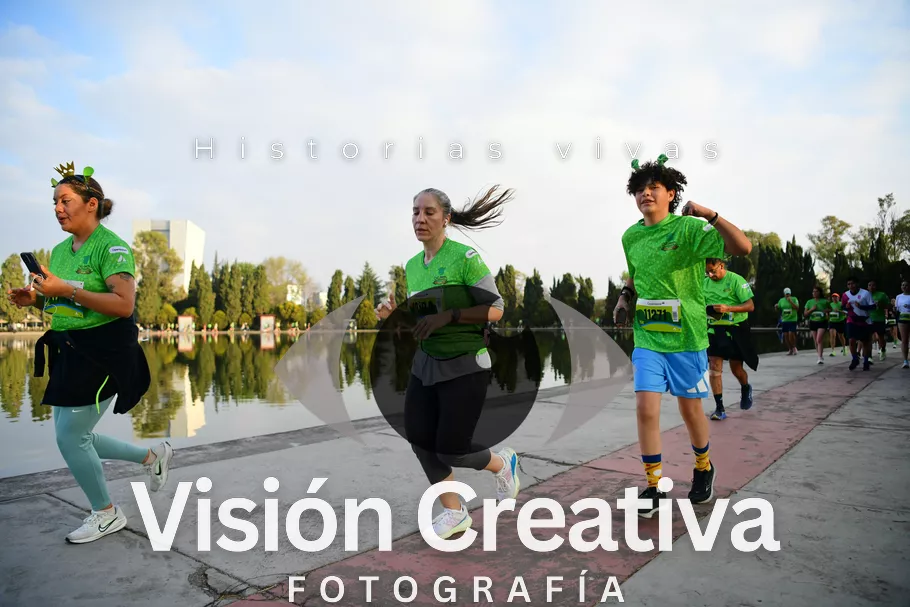 Foto del evento Shrek - CDMX 2026