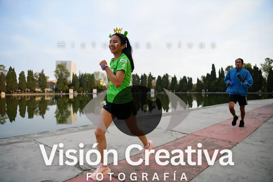 Foto del evento Shrek - CDMX 2026