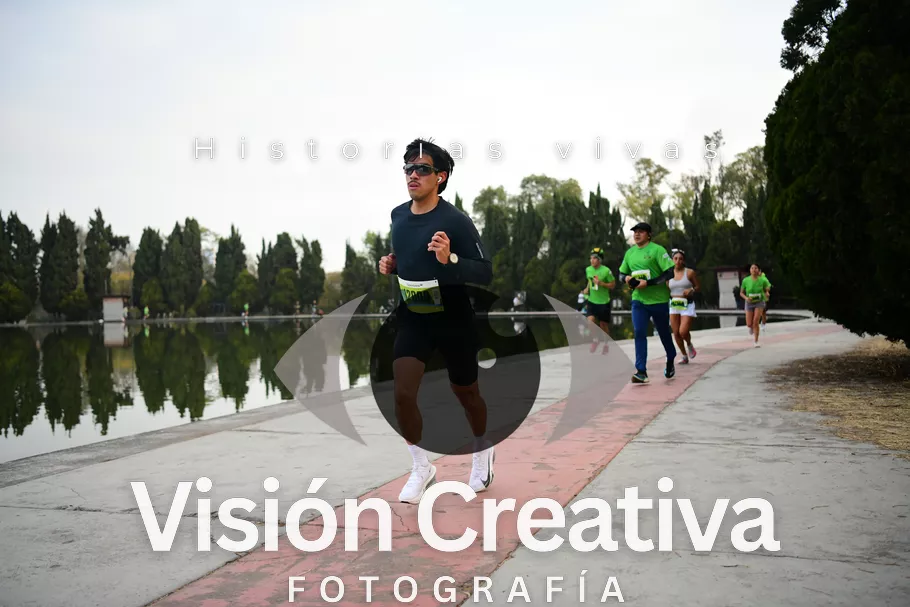 Foto del evento Shrek - CDMX 2026