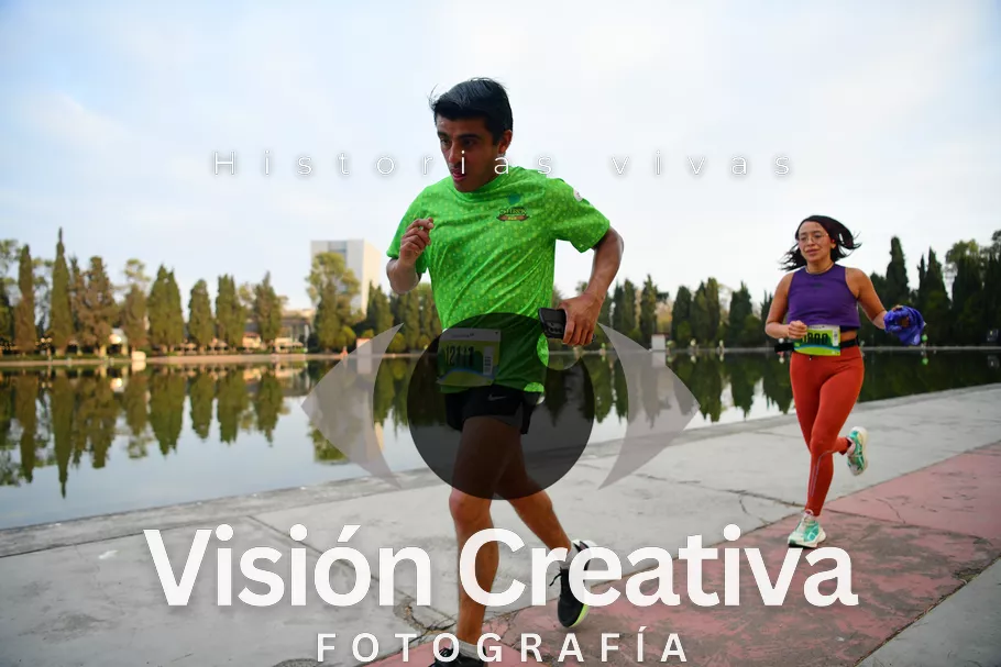 Foto del evento Shrek - CDMX 2026