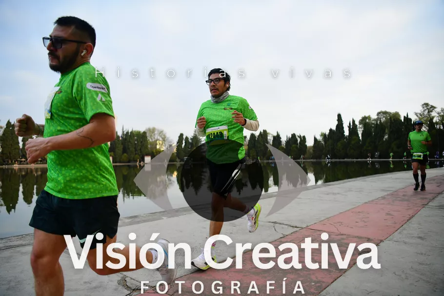 Foto del evento Shrek - CDMX 2026