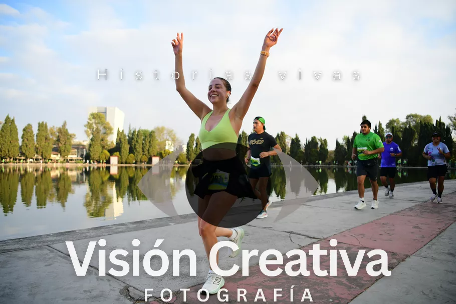 Foto del evento Shrek - CDMX 2026