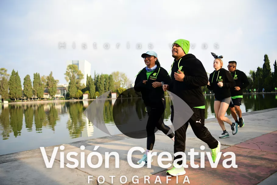 Foto del evento Shrek - CDMX 2026