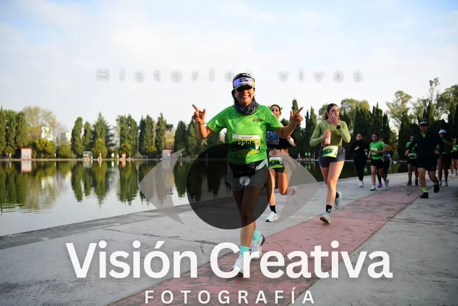 Foto del evento Shrek - CDMX 2026