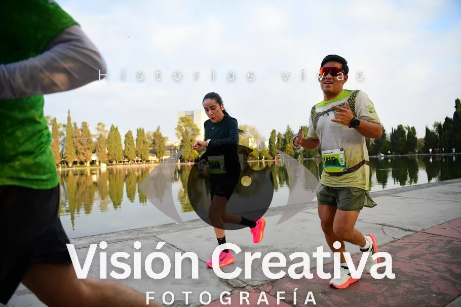 Foto del evento Shrek - CDMX 2026