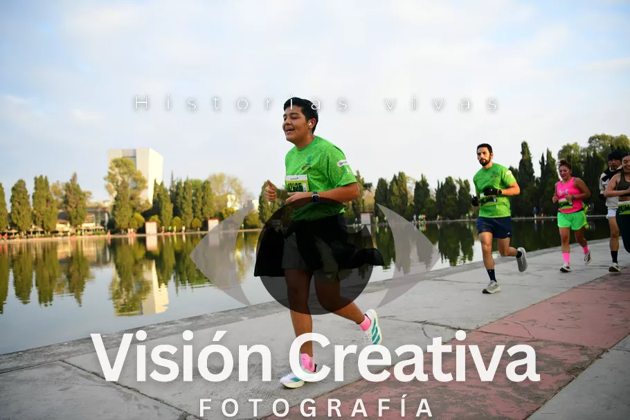 Foto del evento Shrek - CDMX 2026