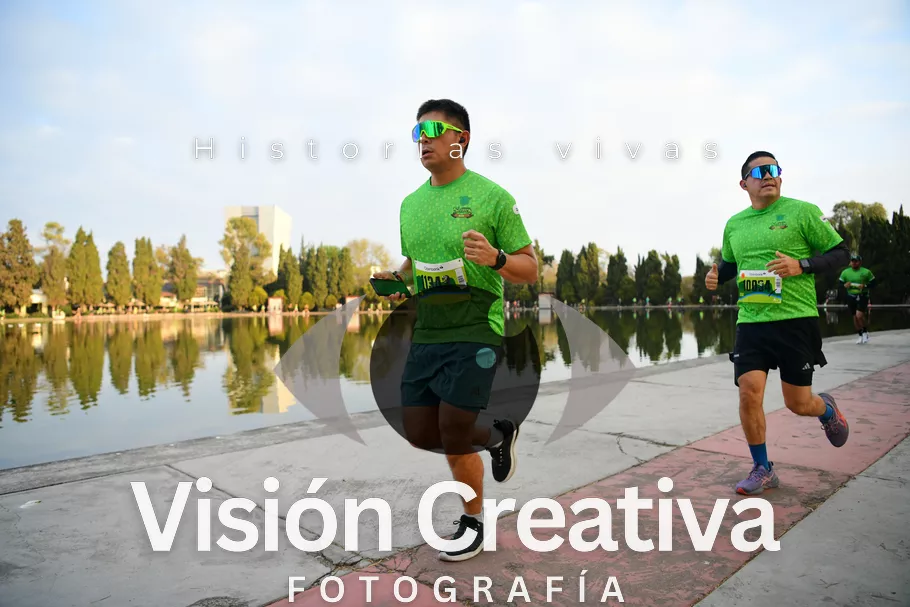 Foto del evento Shrek - CDMX 2026