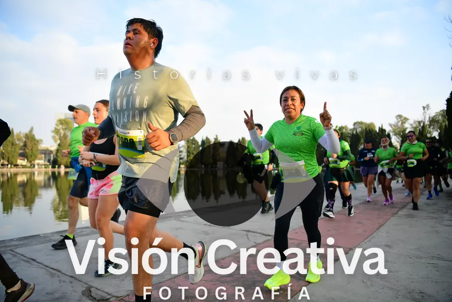Foto del evento Shrek - CDMX 2026