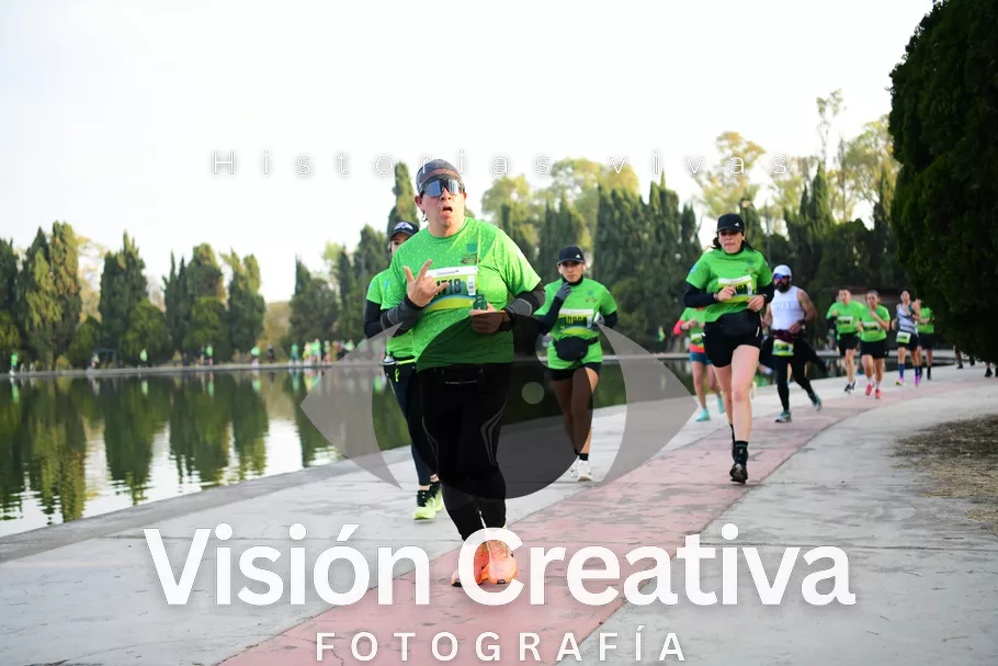 Foto del evento Shrek - CDMX 2026