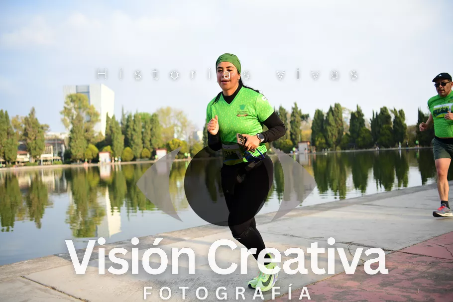 Foto del evento Shrek - CDMX 2026