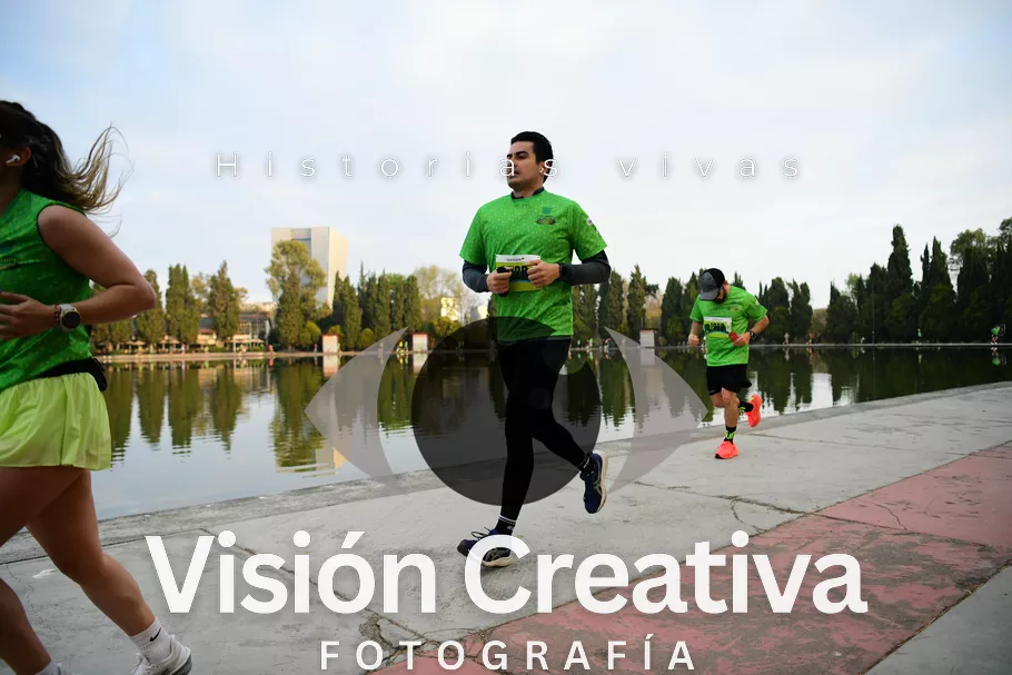 Foto del evento Shrek - CDMX 2026