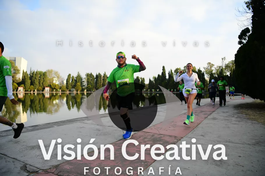 Foto del evento Shrek - CDMX 2026