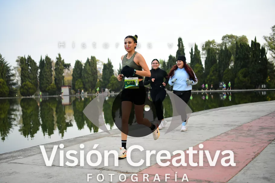 Foto del evento Shrek - CDMX 2026