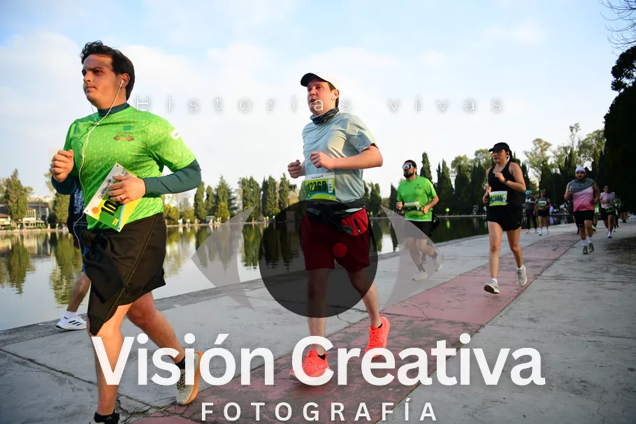 Foto del evento Shrek - CDMX 2026
