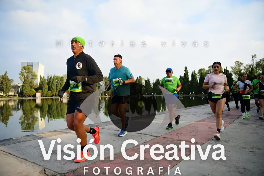 Foto del evento Shrek - CDMX 2026