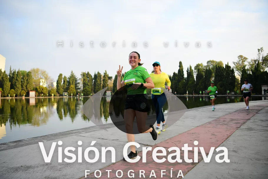 Foto del evento Shrek - CDMX 2026