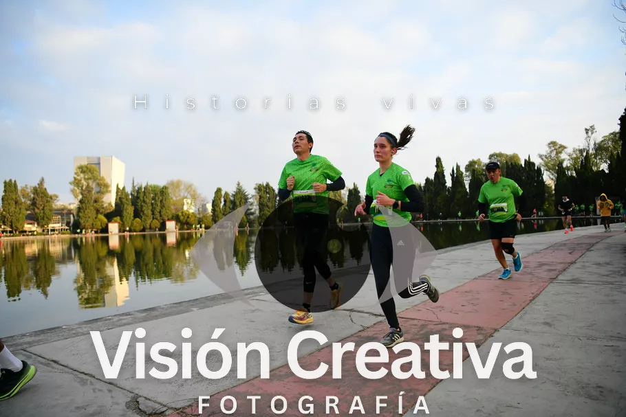Foto del evento Shrek - CDMX 2026