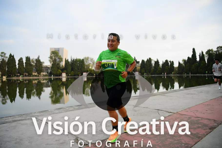 Foto del evento Shrek - CDMX 2026
