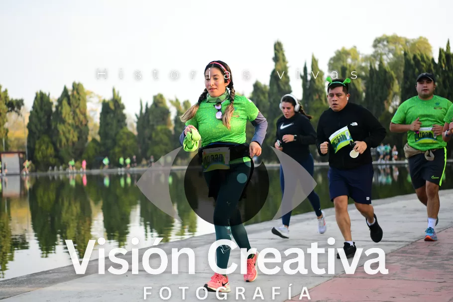 Foto del evento Shrek - CDMX 2026