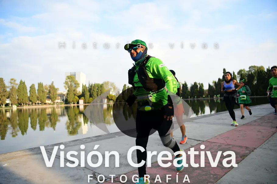 Foto del evento Shrek - CDMX 2026