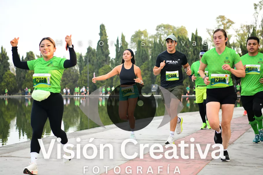 Foto del evento Shrek - CDMX 2026