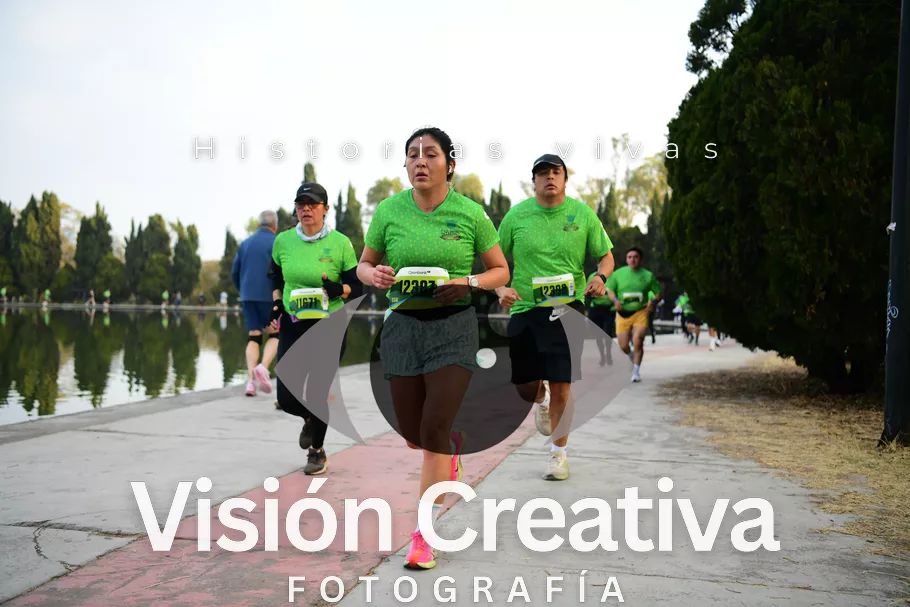Foto del evento Shrek - CDMX 2026