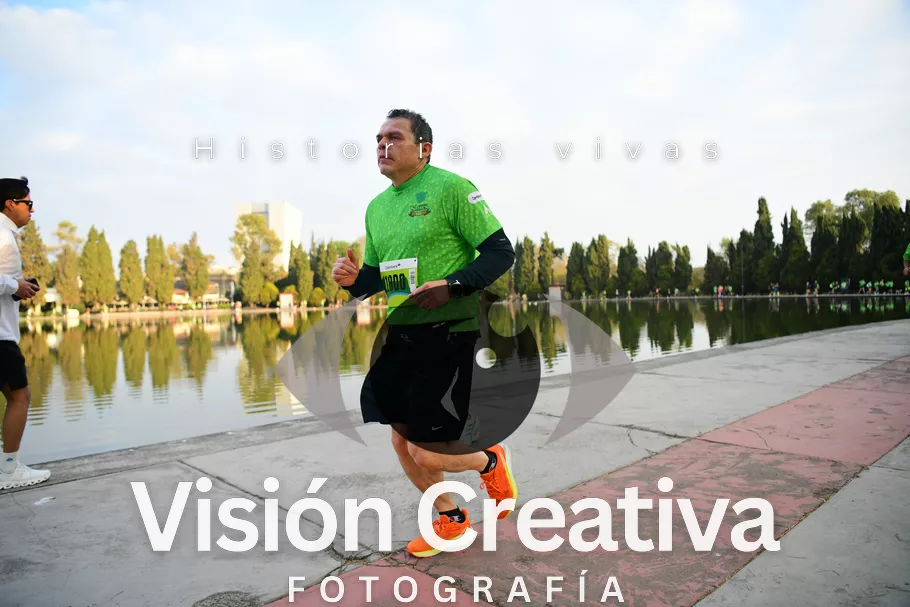Foto del evento Shrek - CDMX 2026