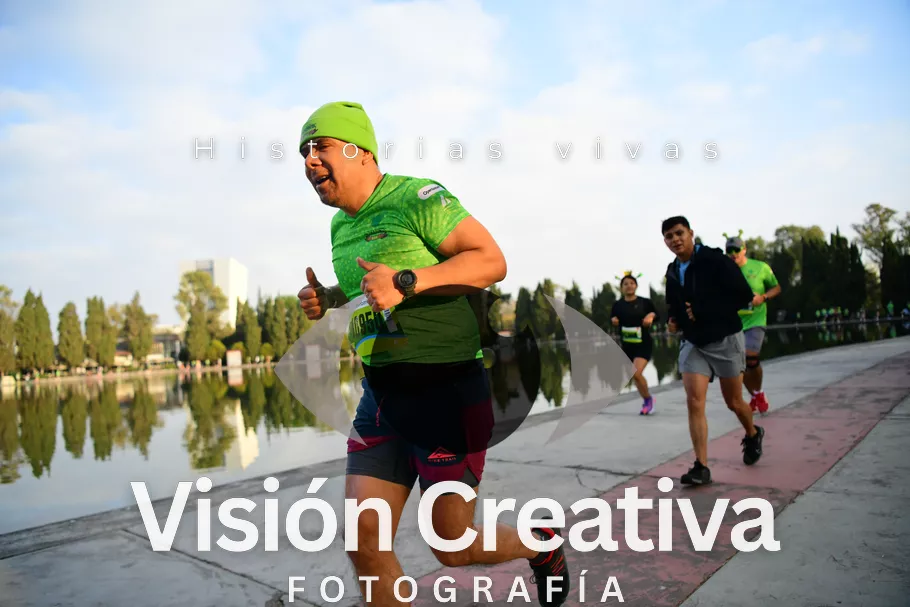 Foto del evento Shrek - CDMX 2026