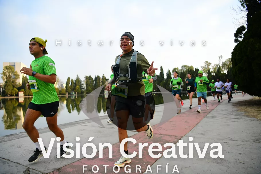 Foto del evento Shrek - CDMX 2026