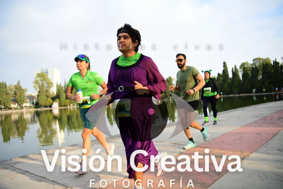 Foto del evento Shrek - CDMX 2026