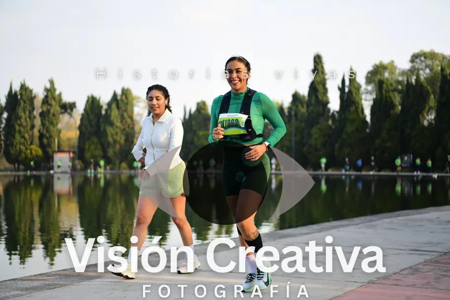 Foto del evento Shrek - CDMX 2026