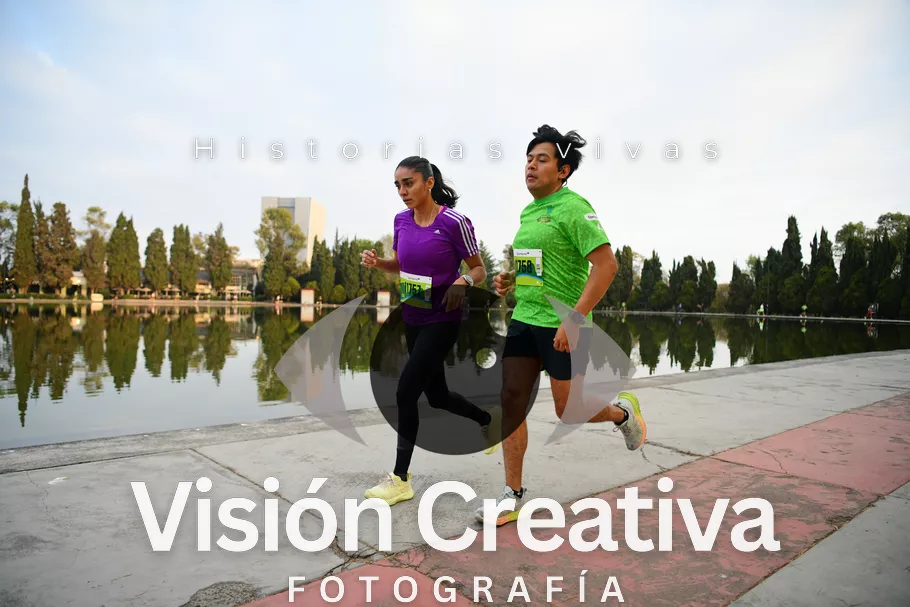 Foto del evento Shrek - CDMX 2026