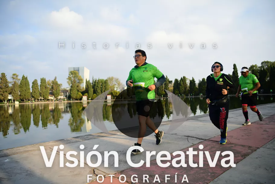 Foto del evento Shrek - CDMX 2026