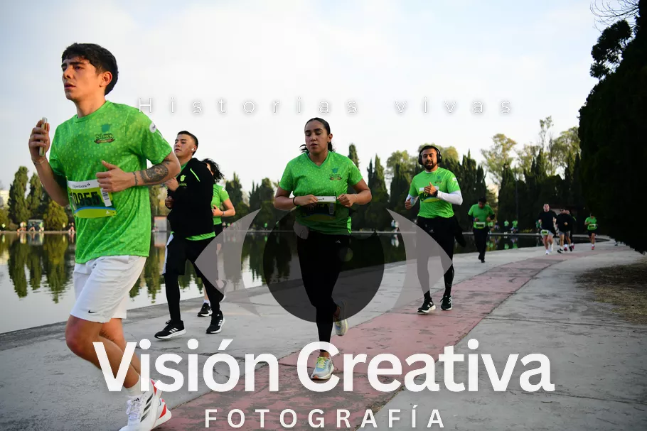 Foto del evento Shrek - CDMX 2026