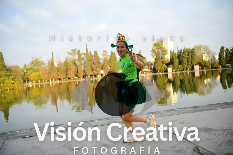 Foto del evento Shrek - CDMX 2026
