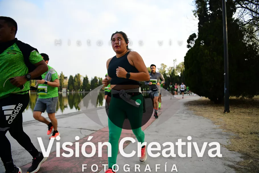 Foto del evento Shrek - CDMX 2026
