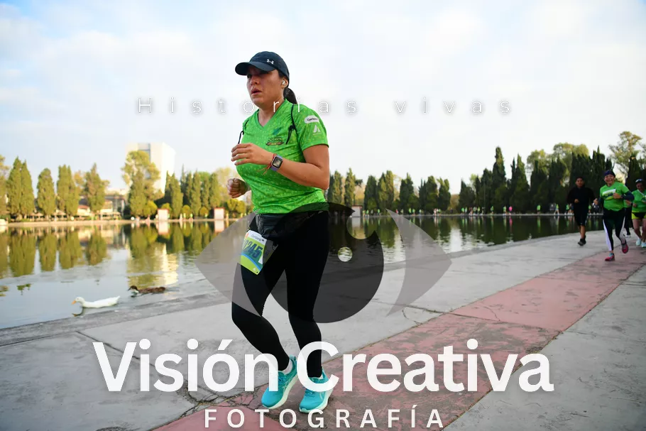 Foto del evento Shrek - CDMX 2026