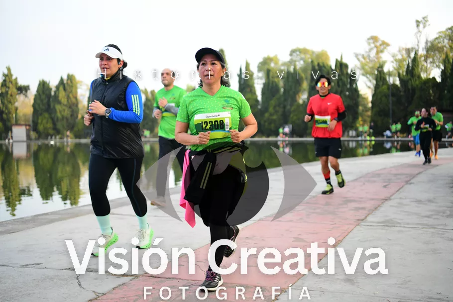 Foto del evento Shrek - CDMX 2026