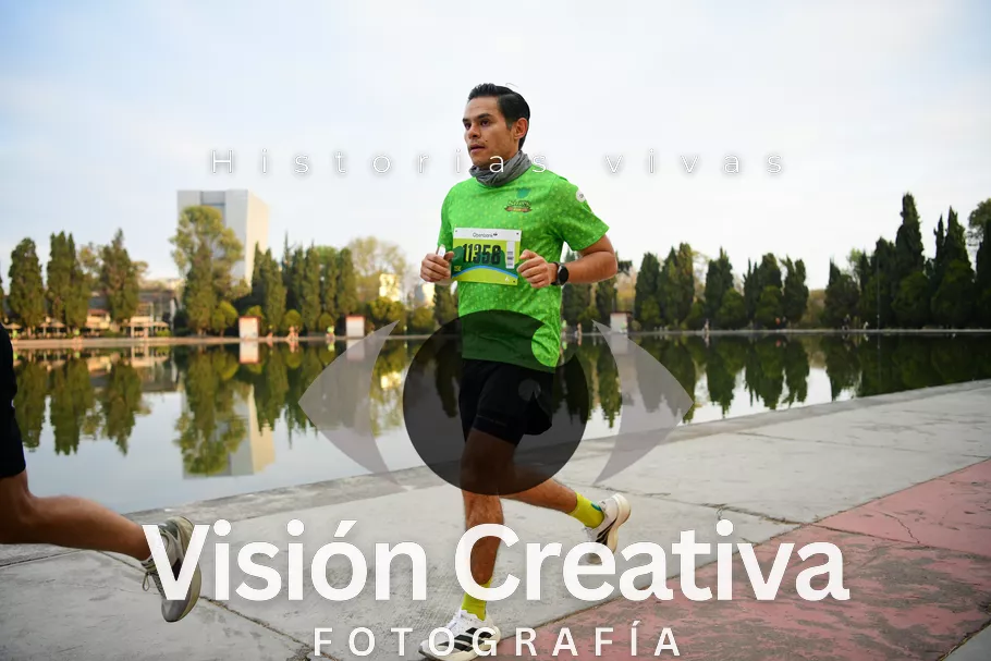 Foto del evento Shrek - CDMX 2026