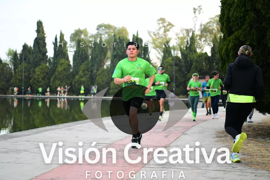 Foto del evento Shrek - CDMX 2026
