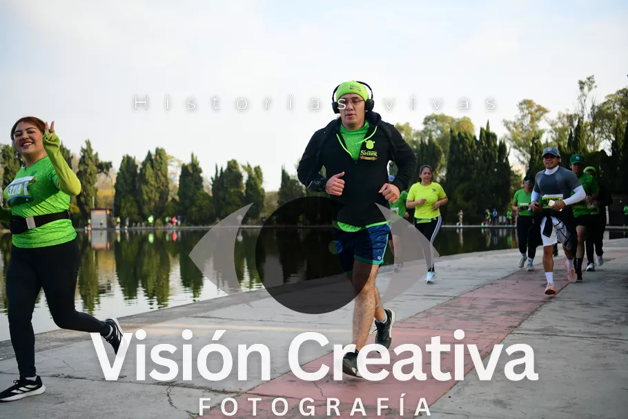Foto del evento Shrek - CDMX 2026