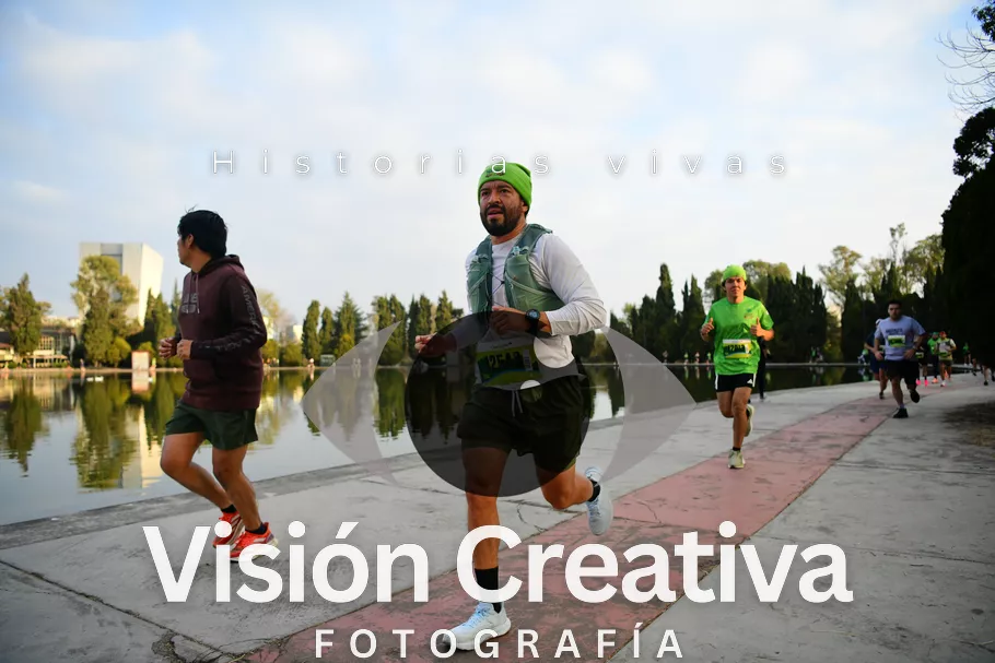 Foto del evento Shrek - CDMX 2026