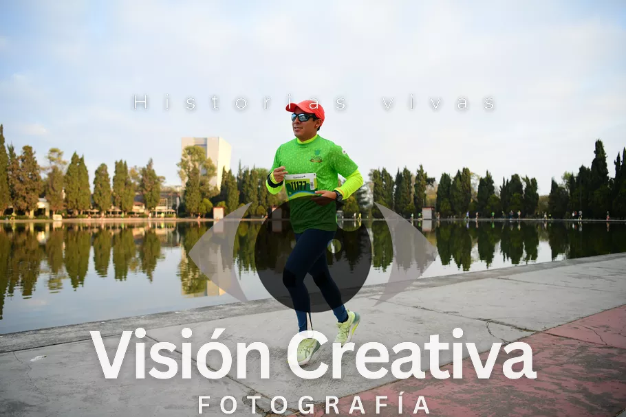 Foto del evento Shrek - CDMX 2026