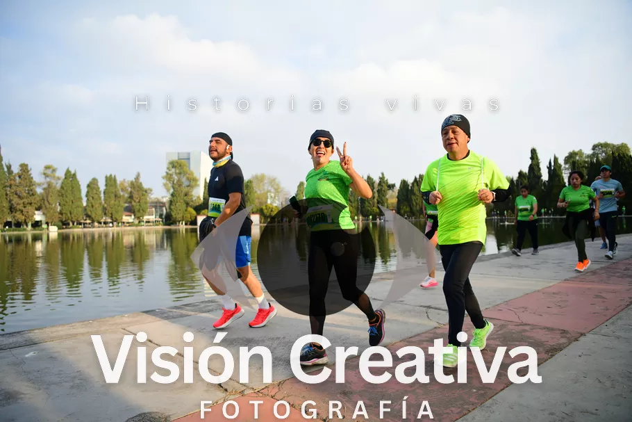 Foto del evento Shrek - CDMX 2026