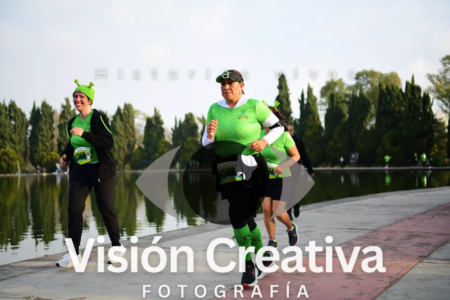 Foto del evento Shrek - CDMX 2026
