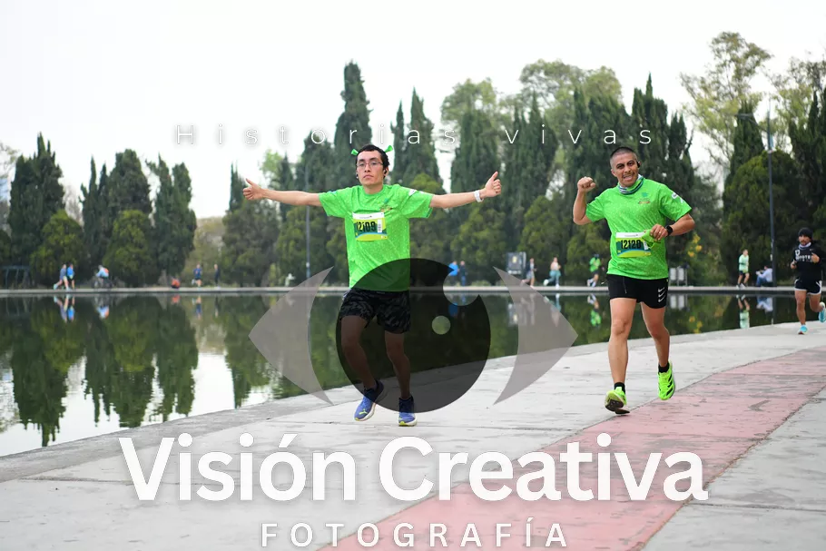Foto del evento Shrek - CDMX 2026