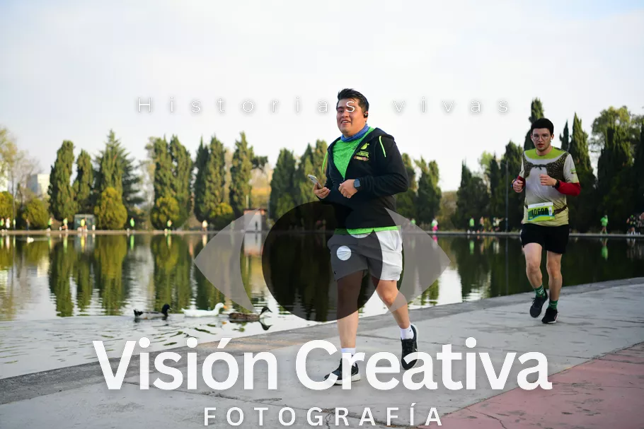 Foto del evento Shrek - CDMX 2026